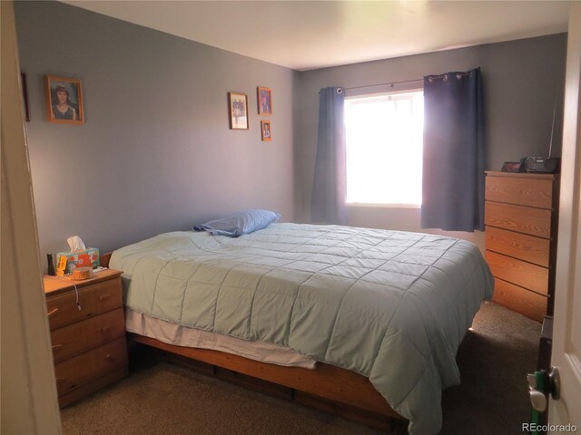 8781 N Pierce Way Unit 102, Arvada, CO 80003 - photo 8