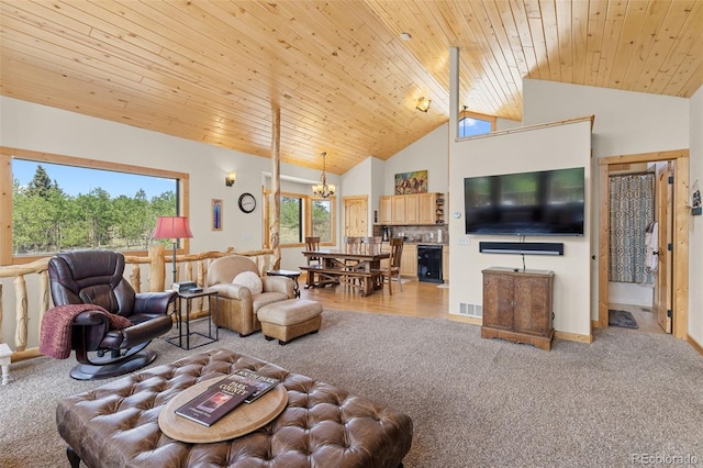 1729 Pinto Trl, Como, CO 80432 - photo 13