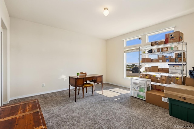 4241 Meadowlark Rd, Fort Lupton, CO 80621 - carpeted office with baseboards