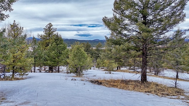 Listing photo 3 for 157 Utah Way, Florissant CO 80816