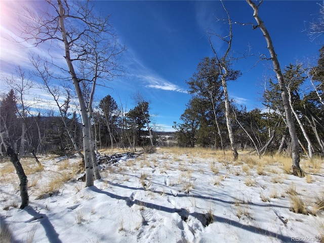 81 Concord Dr, Jefferson, CO 80456