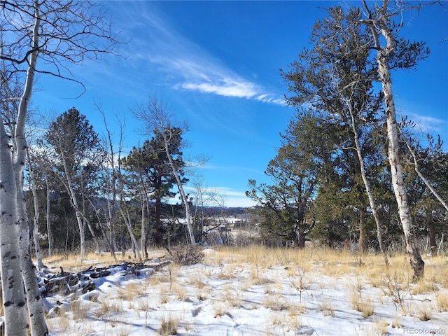 81 Concord Dr, Jefferson, CO 80456