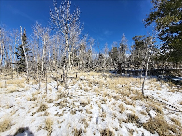 81 Concord Dr, Jefferson, CO 80456
