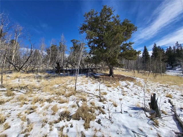 81 Concord Dr, Jefferson, CO 80456