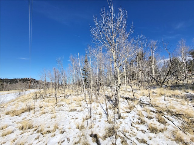 81 Concord Dr, Jefferson, CO 80456