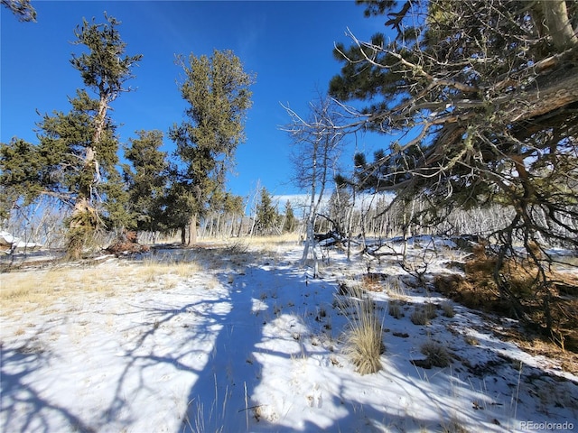81 Concord Dr, Jefferson, CO 80456