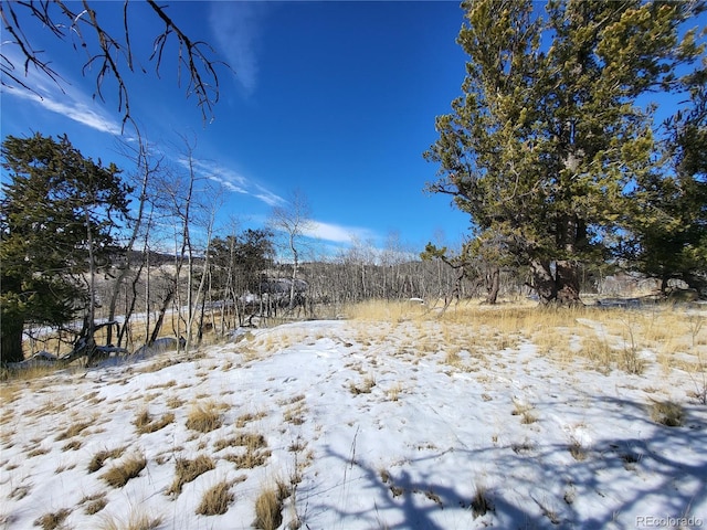 81 Concord Dr, Jefferson, CO 80456