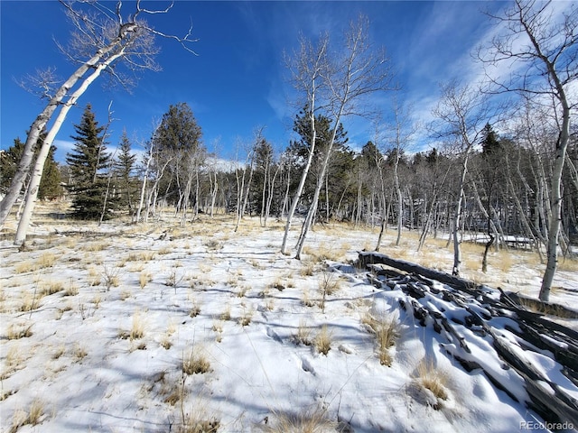 81 Concord Dr, Jefferson, CO 80456