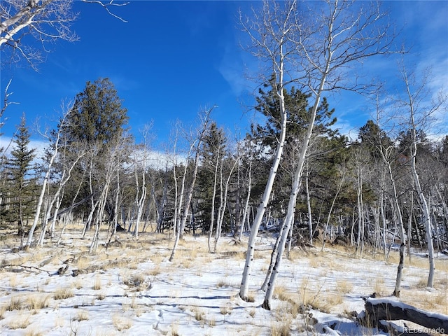 81 Concord Dr, Jefferson, CO 80456