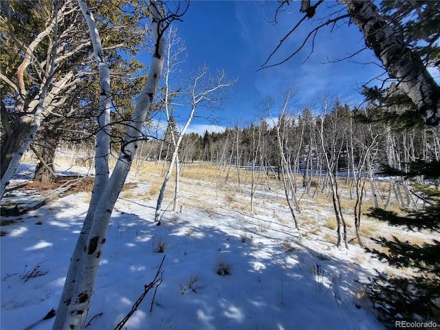 81 Concord Dr, Jefferson, CO 80456