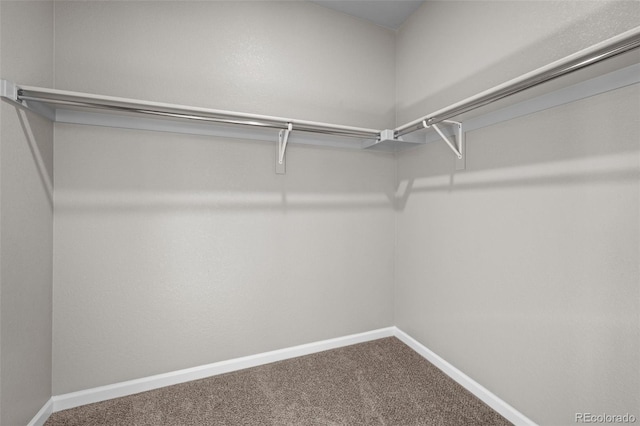 20871 E 60th Ave, Aurora, CO 80019 - walk in closet with carpet