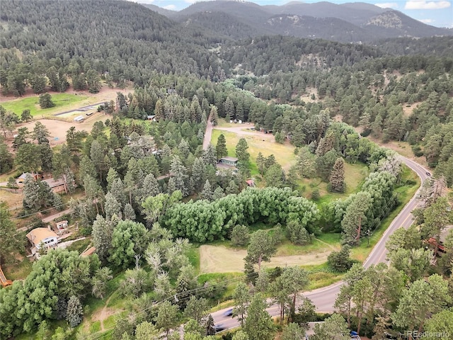 5411 Parmalee Gulch Rd, Indian Hills, CO 80454 - photo 1