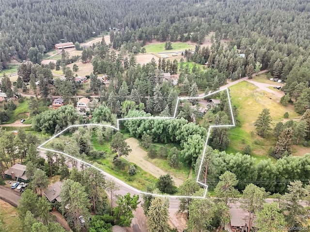 5411 Parmalee Gulch Rd, Indian Hills, CO 80454 - photo 3