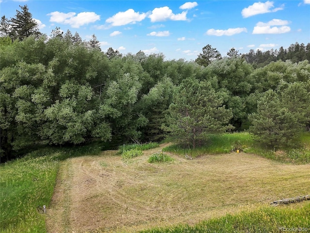 5411 Parmalee Gulch Rd, Indian Hills, CO 80454 - photo 4