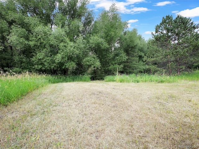5411 Parmalee Gulch Rd, Indian Hills, CO 80454 - photo 5