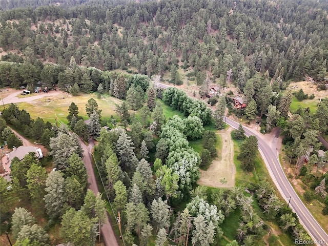 5411 Parmalee Gulch Rd, Indian Hills, CO 80454 - photo 6