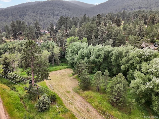 5411 Parmalee Gulch Rd, Indian Hills, CO 80454 - photo 7