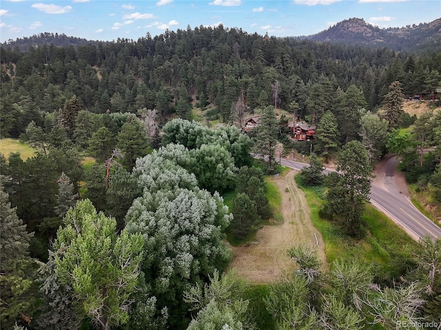 5411 Parmalee Gulch Rd, Indian Hills, CO 80454 - photo 8