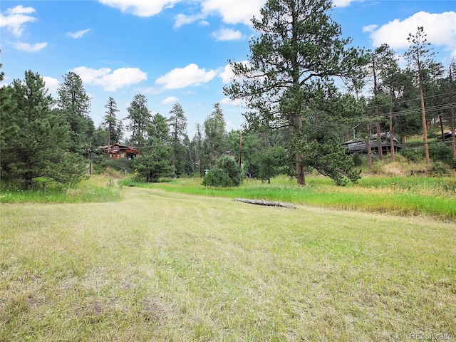 5411 Parmalee Gulch Rd, Indian Hills, CO 80454 - photo 9