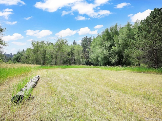 5411 Parmalee Gulch Rd, Indian Hills, CO 80454 - photo 10