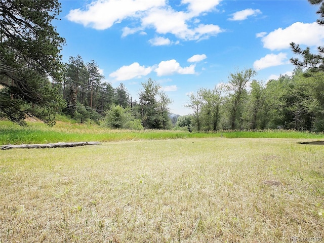 5411 Parmalee Gulch Rd, Indian Hills, CO 80454 - photo 11