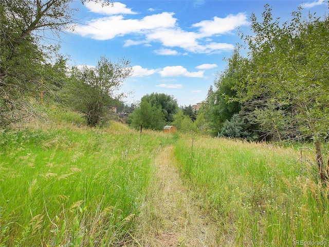 5411 Parmalee Gulch Rd, Indian Hills, CO 80454 - photo 15