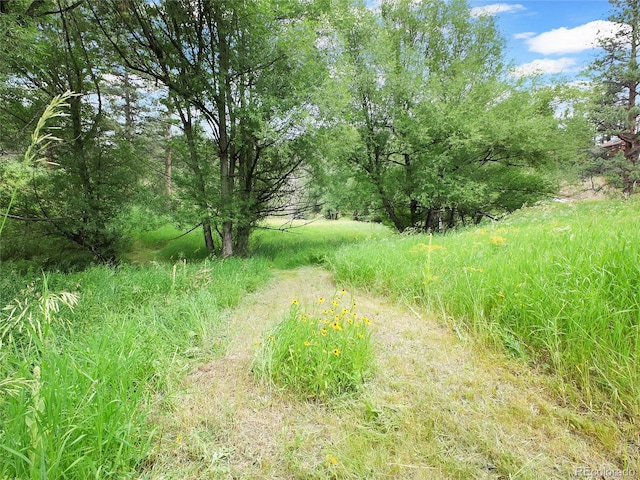 5411 Parmalee Gulch Rd, Indian Hills, CO 80454 - photo 18