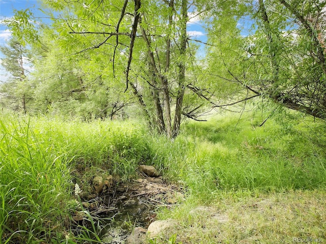 5411 Parmalee Gulch Rd, Indian Hills, CO 80454 - photo 19