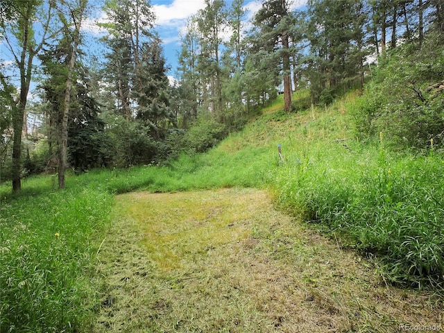 5411 Parmalee Gulch Rd, Indian Hills, CO 80454 - photo 21