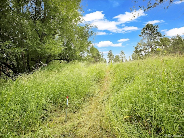5411 Parmalee Gulch Rd, Indian Hills, CO 80454 - photo 22