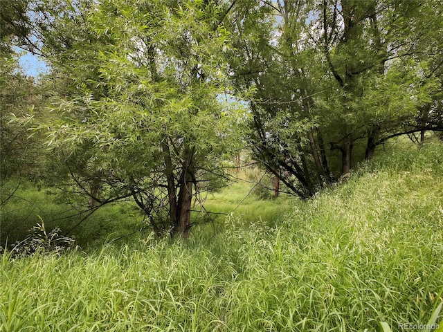 5411 Parmalee Gulch Rd, Indian Hills, CO 80454 - photo 23