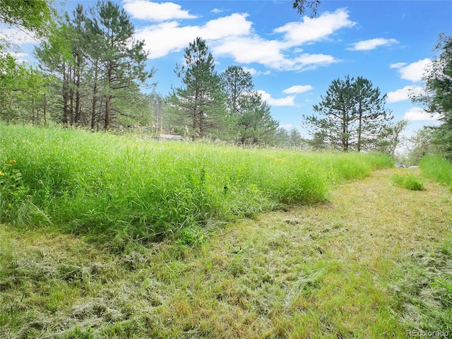 5411 Parmalee Gulch Rd, Indian Hills, CO 80454 - photo 25