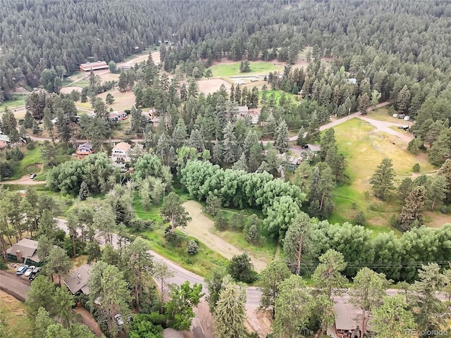 5411 Parmalee Gulch Rd, Indian Hills, CO 80454 - photo 26