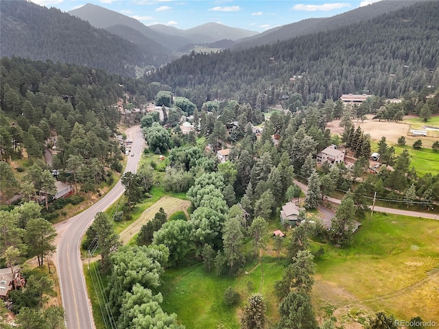 5411 Parmalee Gulch Rd, Indian Hills, CO 80454 - photo 27
