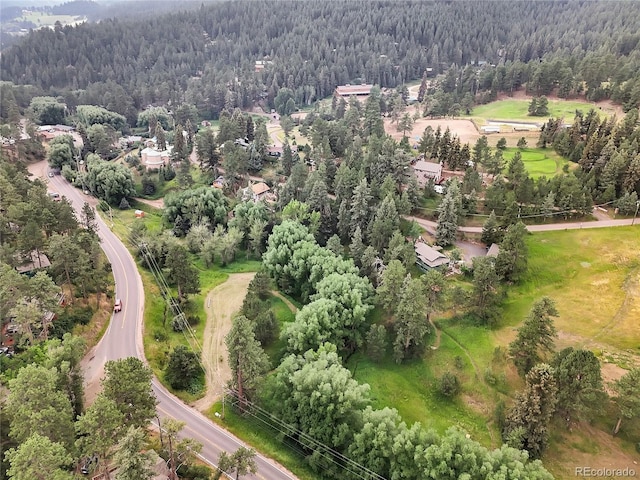 5411 Parmalee Gulch Rd, Indian Hills, CO 80454 - photo 29