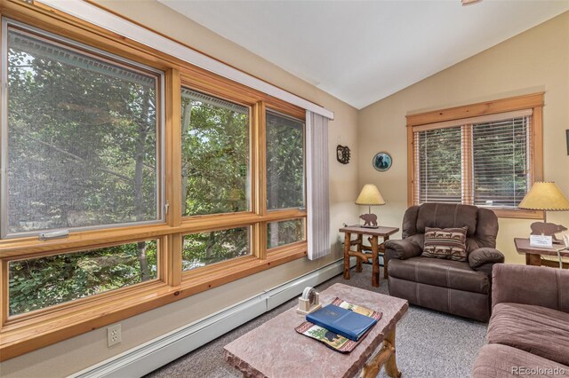 2100 Fall River Rd Unit 8, Estes Park, CO 80517 - photo 13