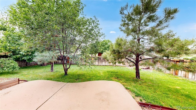 11301 Vernon Way, Parker, CO 80134 - view of yard featuring a patio