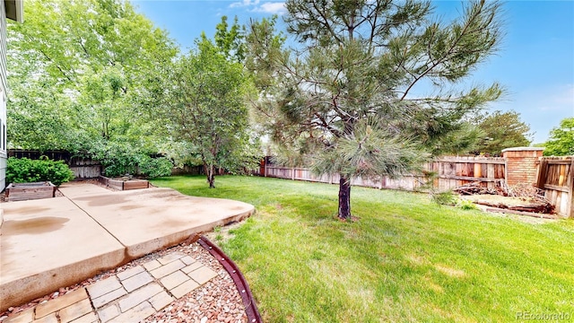 11301 Vernon Way, Parker, CO 80134 - view of yard with a patio