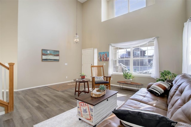 living room featuring a towering ceiling and hardwood / wood-style floors