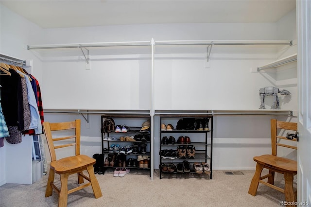 spacious closet with light carpet