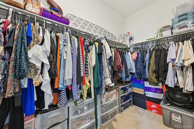 walk in closet with carpet floors