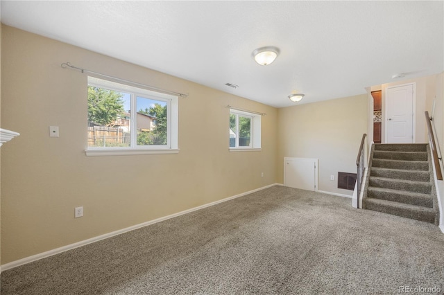 basement featuring carpet