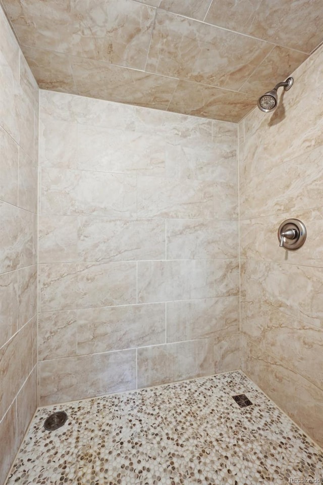 3784 Swadley St, Wheat Ridge, CO 80033 - full bath featuring a tile shower