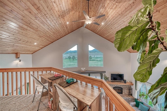 10757 Vista Farms Ct, Salida, CO 81201 - hall with wood ceiling and lofted ceiling