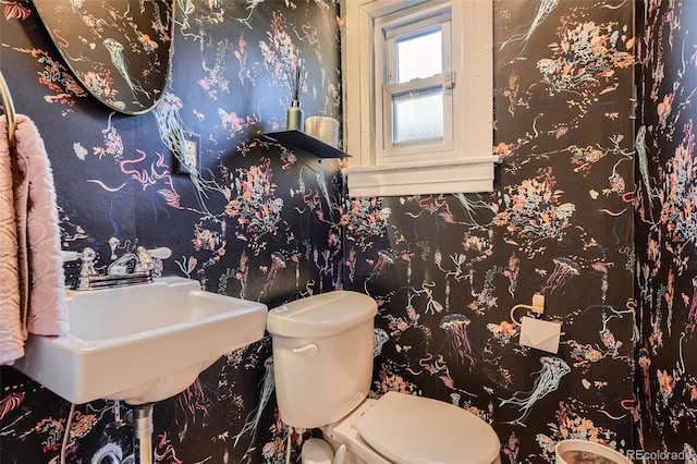 1612 N High St, Denver, CO 80218 - half bathroom with toilet