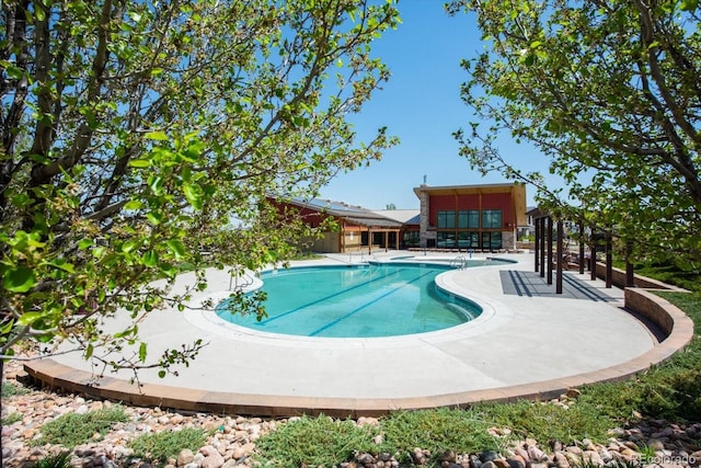 view of swimming pool featuring a patio