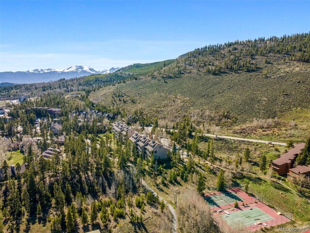 240 Tennis Club Rd Unit 1677, Dillon, CO 80435 - photo 8