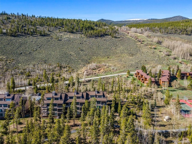 240 Tennis Club Rd Unit 1677, Dillon, CO 80435 - photo 9