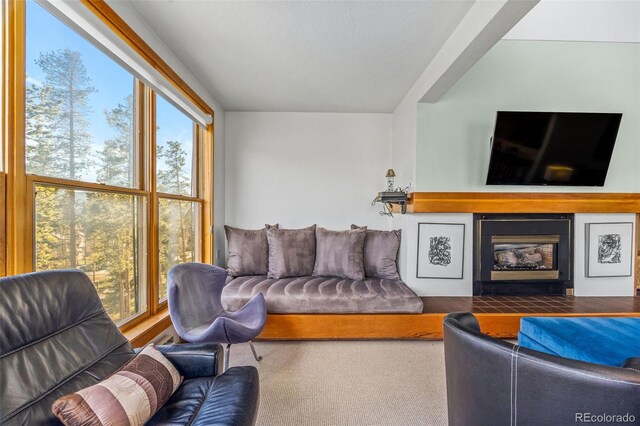 240 Tennis Club Rd Unit 1677, Dillon, CO 80435 - photo 16