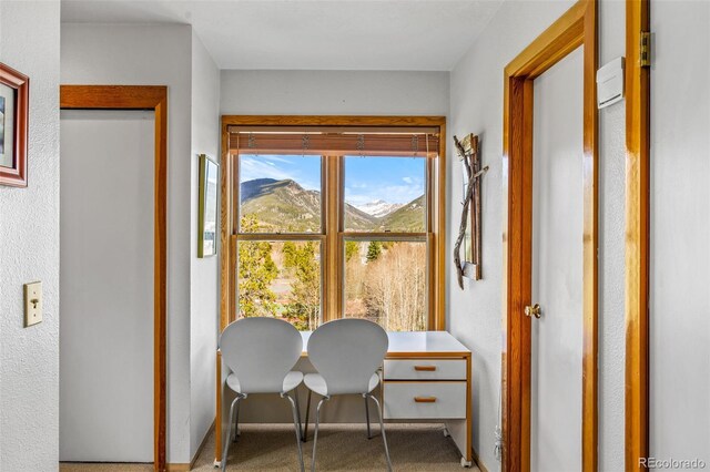 240 Tennis Club Rd Unit 1677, Dillon, CO 80435 - photo 29